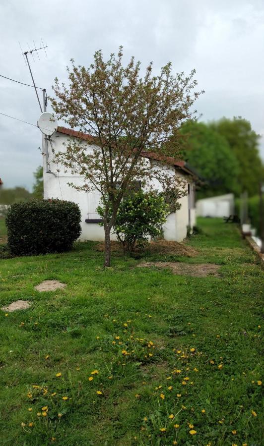 Maison studio individuelle fraichement rénovée Paray-le-Frésil Extérieur photo